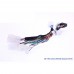 Комплект дротів для магнітол 16PIN CraftAudio CB-793 LEXUS RX300 (Азія) 04-05 – CraftAudio – Lexus <br><br> Купити в Autoprodrive – Хіт продажів – Доставка Новою Поштою – Оплата при отриманні – Технічна підтримка після покупки 